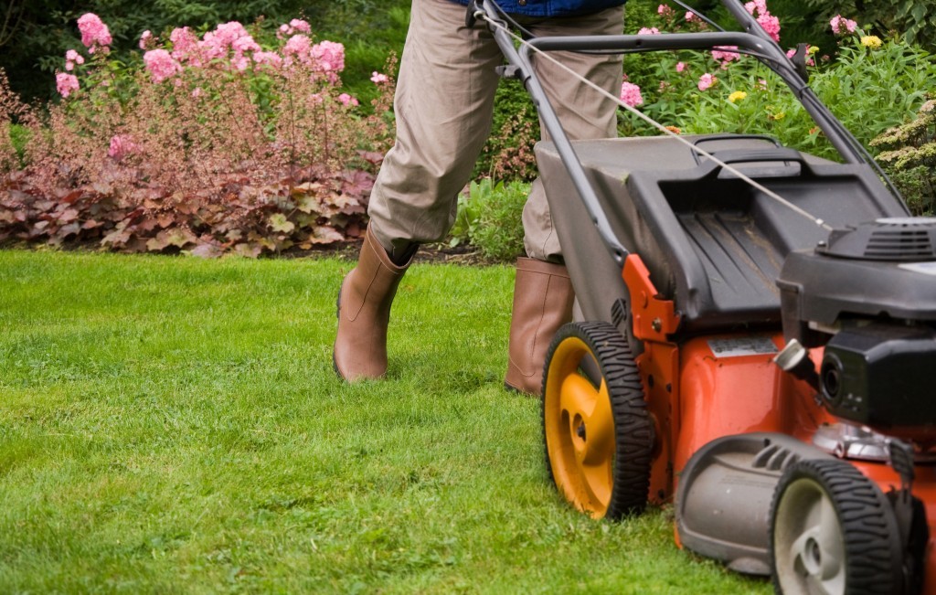 Lawn Mowing Service in Minneapolis