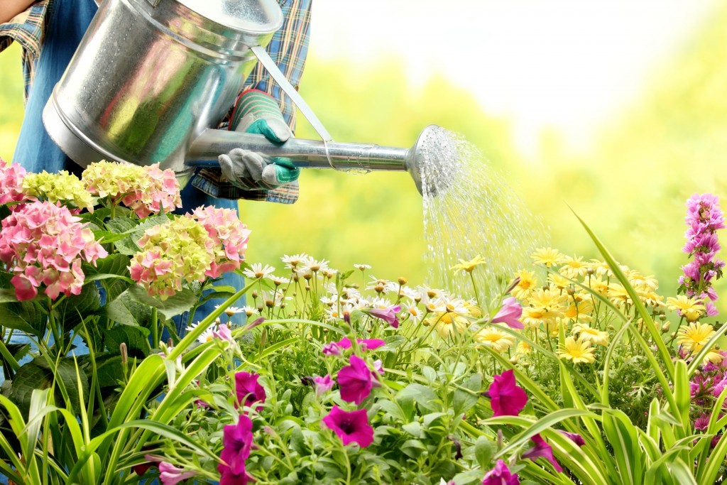 Garden Maintenance in Perth