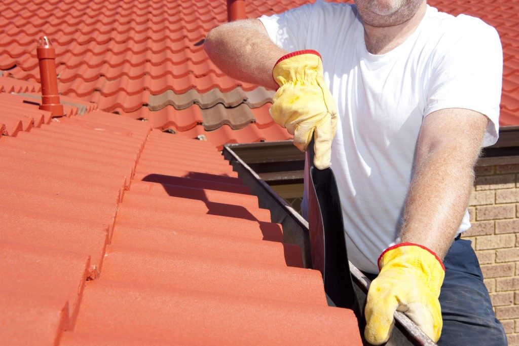 Man Cleaning Roof Gutter