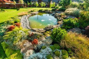 Landscaped garden with pond