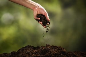 Hand holding clump of soil