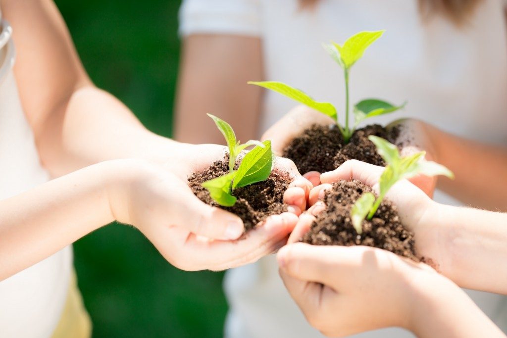 sustainable business