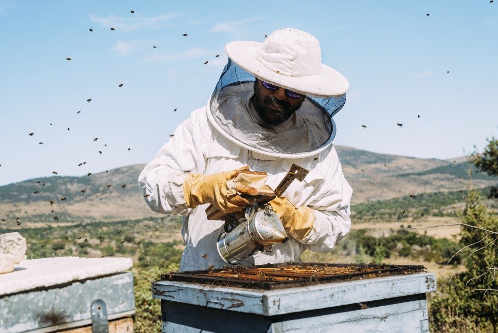 Beekeeper collecting honey