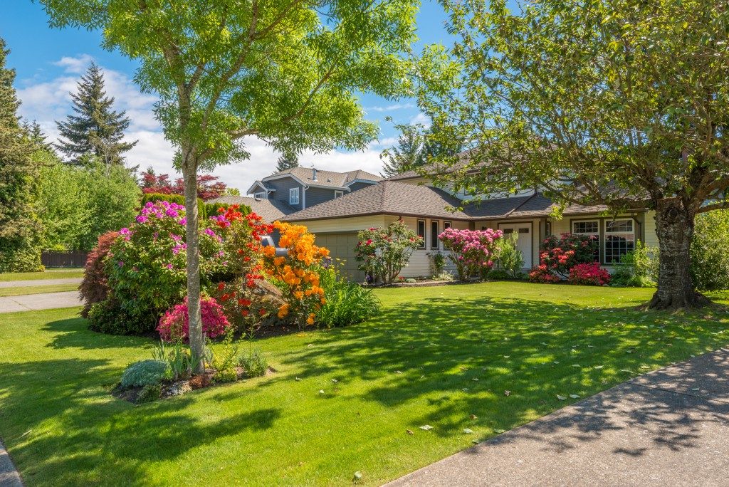 A landscpaed front lawn