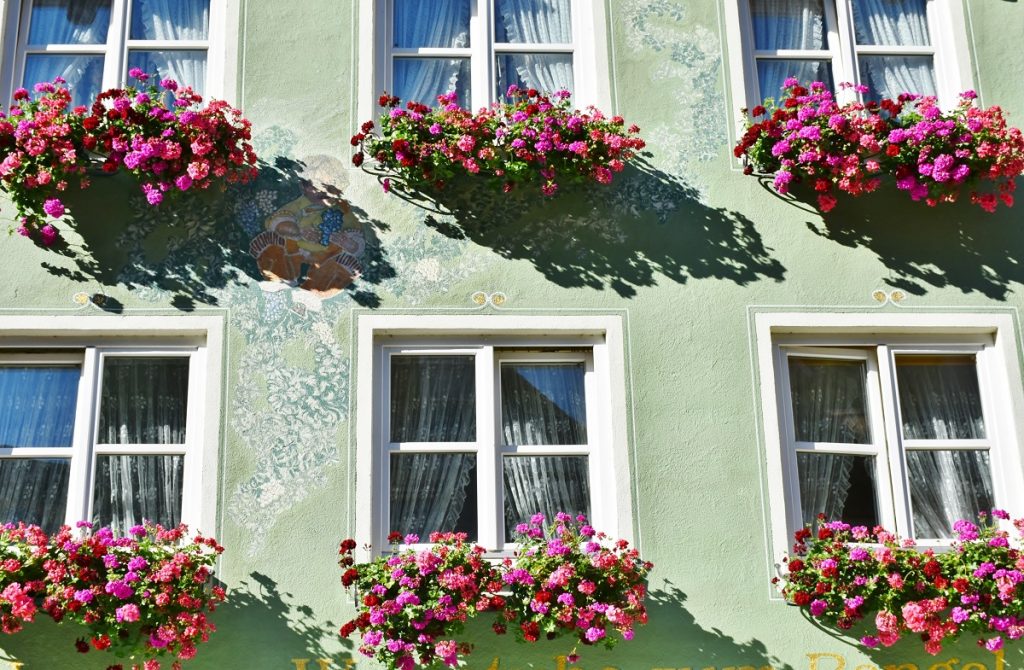 planter boxes in front of windows